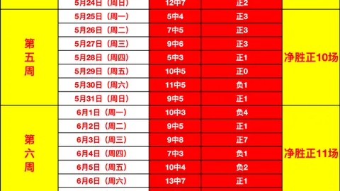 ：20胜13败，数据异常之谜深度解析