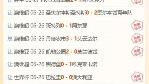 篮球对决2022年世界杯：青岛队能否逆袭夺冠终极指南